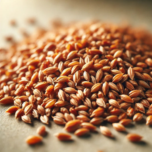 Amber Malt