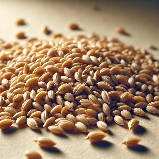 Best Ale Malt