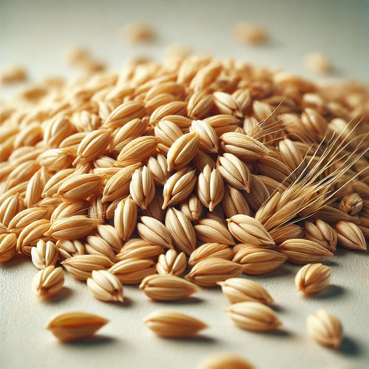 Pale Ale Malt