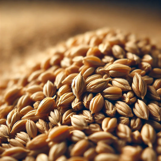 Dextrinmalt Cara Clair